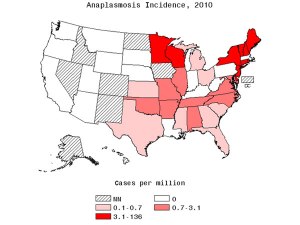 Figure 2. Incidence of reported cases of anaplasmosis. Image from: http://www.cdc.gov/anaplasmosis/stats/